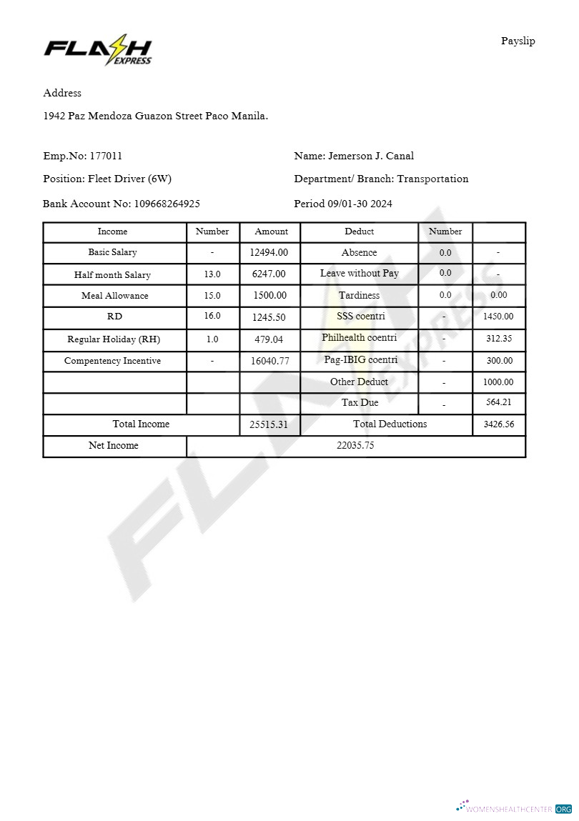 Download Flash Express Co. payslip template in Word and PDF formats.pdf, 2 Photoshop template
